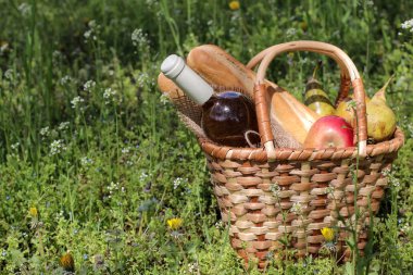 Kamp. Doğada piknik. Şarap meyvesi ve kalın yeşil çim diğer ürünler ile piknik sepeti. Yaz dinlenme