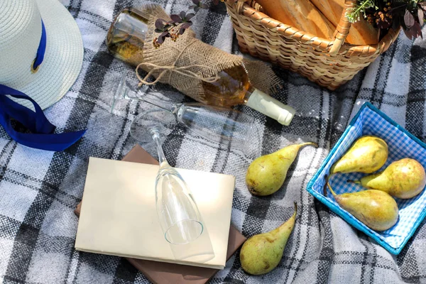 Camping. Picnic basket with wine fruit and other products on a gray plaid in the grass.