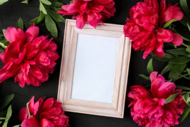 Siyah grafit arka plan üzerinde güzel parlak pembe çiçekler şakayık çerçeve. üst görünüm. metin için alan