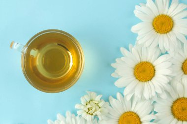 Büyük beyaz papatya çiçekleri ve çay yumuşak bir açık mavi arka plan üzerinde. üst görünüm.