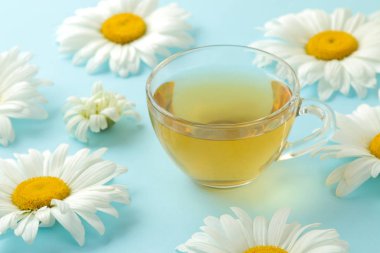 Büyük beyaz papatya çiçekler ve çay nazik bir açık mavi arka plan üzerinde bir fincan.