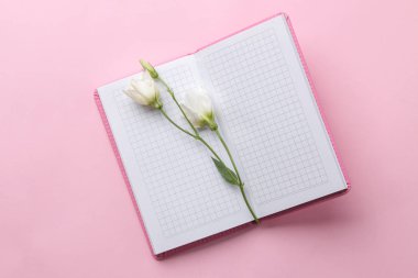 Parlak moda pembe arka planda pembe dizüstü bilgisayarı ve beyaz çiçekleri açın. üst görünüm. ofis araçları