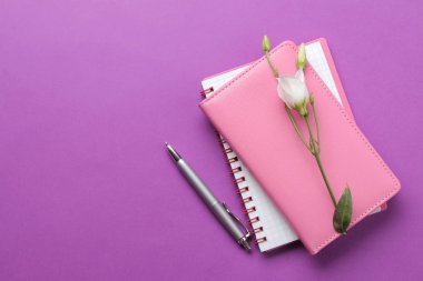parlak leylak arka plan üzerinde iki defter, kalem ve beyaz çiçekler. üst görünüm. ofis araçları