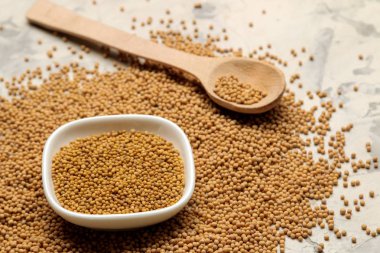 hafif beton bir masada bir kase kuru hardal tohumu. pişirme hardal sosu yakın çekim.