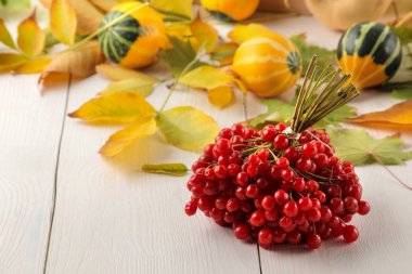 Sonbahar. sarı yaprakları ile sonbahar kompozisyon, beyaz ahşap arka plan üzerinde kırmızı viburnum.