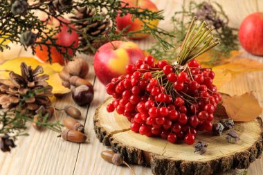 Sonbahar. Sarı yapraklı sonbahar kompozisyonu, doğal ahşap arka plan üzerinde kırmızı viburnum.
