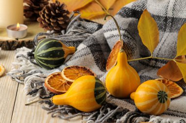 Sonbahar. sıcak ekose, sarı leavesmin, doğal ahşap arka plan üzerinde dekoratif kabaklar ile sonbahar kompozisyon.