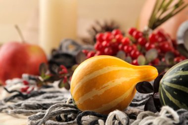 Sonbahar. sıcak ekose, sarı leavesmin, doğal ahşap arka plan üzerinde dekoratif kabaklar ile sonbahar kompozisyon.