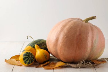 Beyaz ahşap bir masa üzerinde büyük ve küçük dekoratif sarı kabaklar ve sonbahar sarı yaprakları. sonbahar kompozisyonu