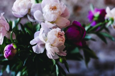 Parlak peonies demet, yakın çekim