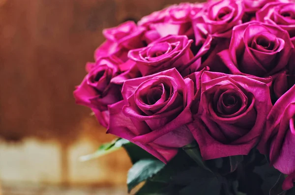 Bunch of pink roses, grunge background