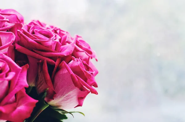 Bando Rosas Rosa Com Espaço Vazio Fundo Cinzento — Fotografia de Stock