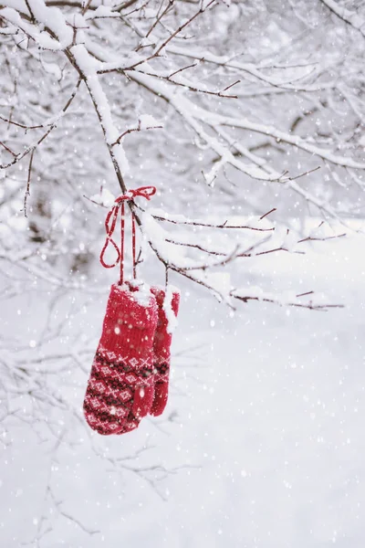 Vintage Knitted Mittens Snowflakes Winter Decoration — Stock Photo, Image