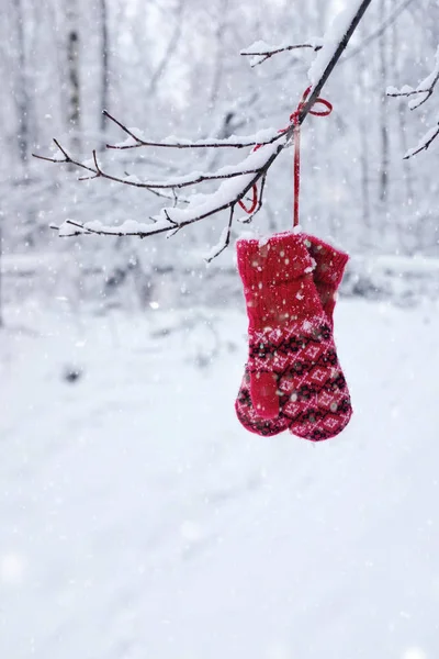Рождественские Украшения Красными Варежками Зимнем Снежном Лесу — стоковое фото