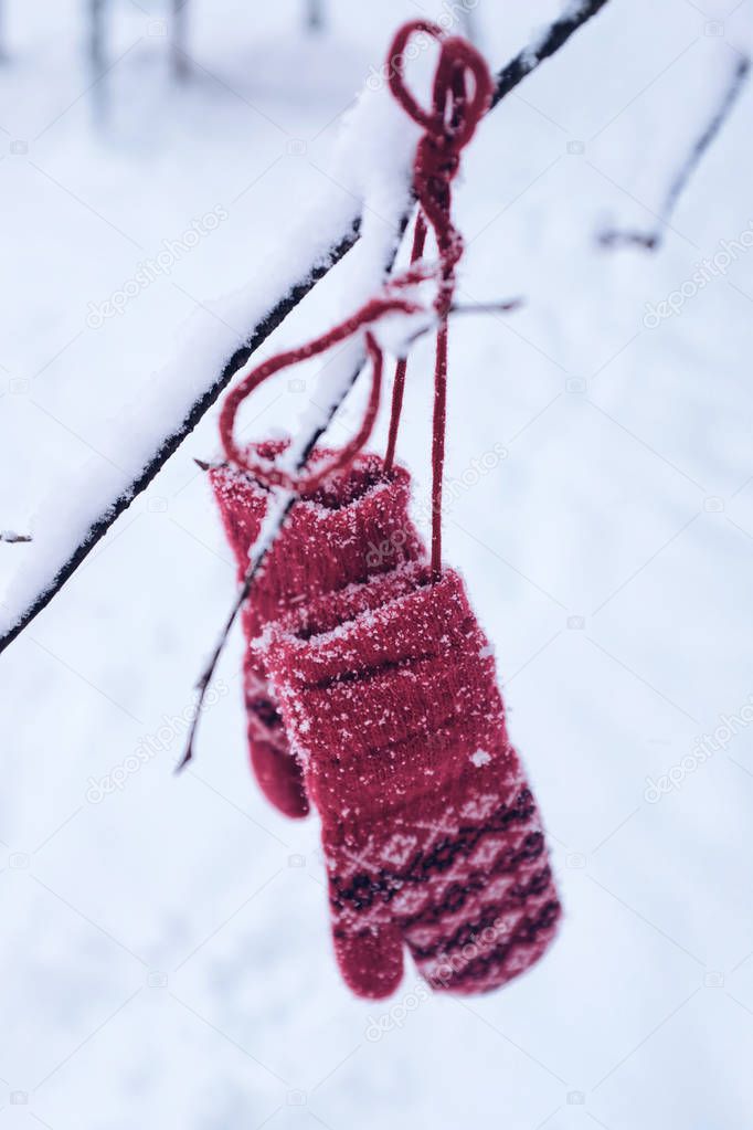 Red knitted mittens in winter forest 