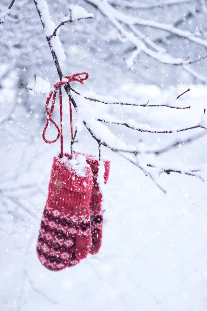 Knitted red mittens hanging on a tree branch, winter decoration