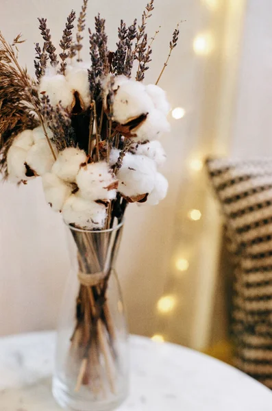 花瓶に綿の花束の芽 フィルム写真 — ストック写真