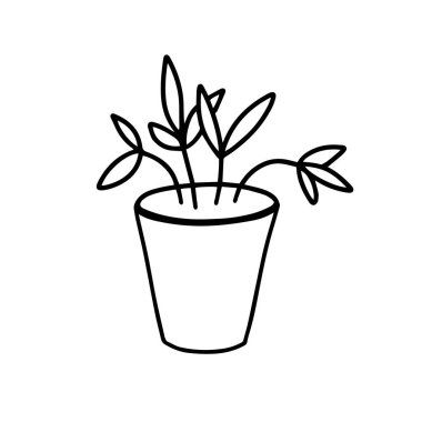 Oda için çiçek. Beyaz bir arka planda izole edilmiş ev bitkileri için saksı. Vektör, beyaz arka planda bir ev bitkisi bulunan bir illüstrasyonu izole etti. Doodle tarzı. 