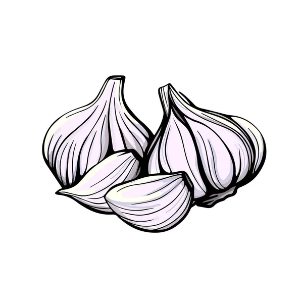 Σκόρδο Απομονωμένο Λευκό Φόντο Σκόρδο Και Γαρύφαλλο Ενίσχυση Του Ανοσοποιητικού — Διανυσματικό Αρχείο