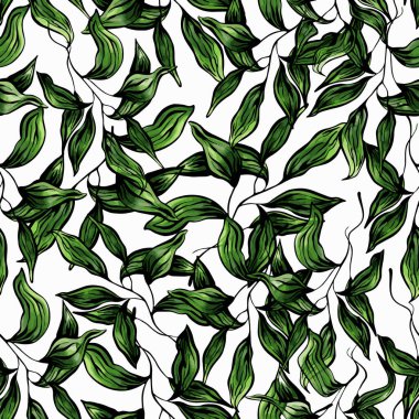 Egzotik yapraklar, tropikal palmiye yaprakları, kusursuz vektör çiçek desenleri. Beyaz arkaplanda izole edilmiş, kusursuz yeşil suluboya yaprakları.