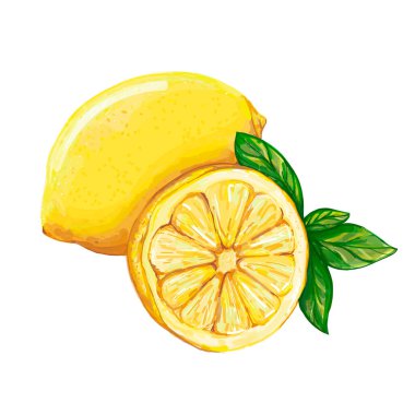 Lemon beyaz bir arka planda izole edildi. Sarı limon ve bir dilim limon. Bağışıklık sistemi ve sağlık sisteminin güçlendirilmesi. El suluboya vektör çizimi