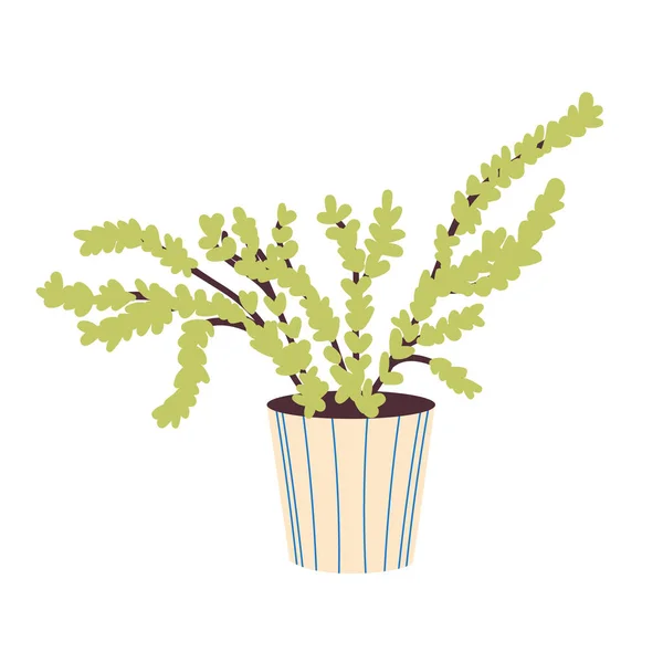 Planta Casera Una Maceta Cerámica Beige Planta Casera Decorativa Flor — Vector de stock