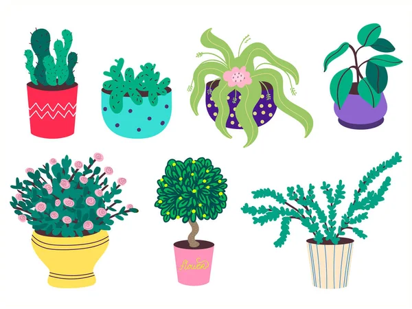 En uppsättning hemmaväxter i krukor. Kaktusar, fikusar, rosor, bonsai. Dekorativa blommor och grönska i blomkrukor. Blomkrukor isolerade på en vit bakgrund.Platt vektor stock illustration — Stock vektor