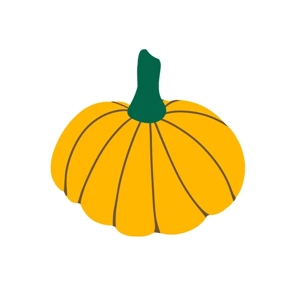 Calabaza amarilla aislada sobre un fondo blanco.Calabaza para Halloween y el diseño del día de Acción de Gracias. — Archivo Imágenes Vectoriales