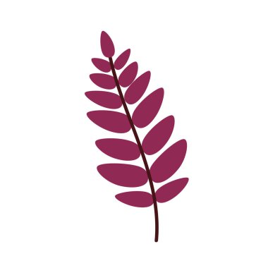 Beyaz arka planda izole edilmiş bir dağ külünün kırmızı yaprağı. Düşmüş bir Rowan yaprağı. Düz vektör illüstrasyonu 