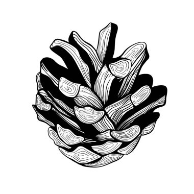 Çam kozalağı. Noel ağacı süslemesi. Bir kozalak. El çizimi Botanik vektör çizimi. Davetiyeler, bayram dekorasyonu, tebrik kartları, baskılar, yazıcılar için tasarım ögeleri