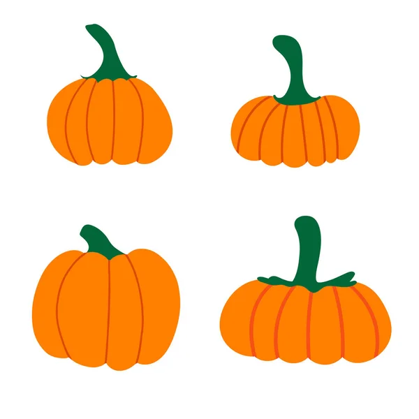 Sammlung von Kürbissen isoliert auf weißem Hintergrund. Orange, gelb, rot Kürbis für Halloween und Erntedankfest-Design. Bio-Herbstgemüse. Vektorflache Illustration — Stockvektor