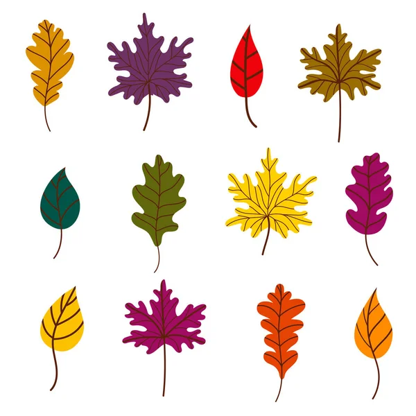 찬란 한 가을 낙엽 이 있노라. 나뭇잎 쓰레기. 단풍나무, 참나무, 자작나무 잎들 이 흰색 배경에 고립되어 있습니다. 벡터의 모양은 평평 한 형태이다. 가을의 요소들 과 핼러윈을 위한 설계 — 스톡 벡터