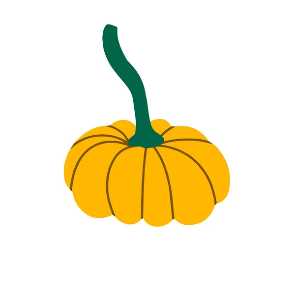 Gelber Kürbis isoliert auf weißem Hintergrund. Kürbis für Halloween und Erntedankfest. Bio-Herbstgemüse. Vektorflache Abbildung — Stockvektor