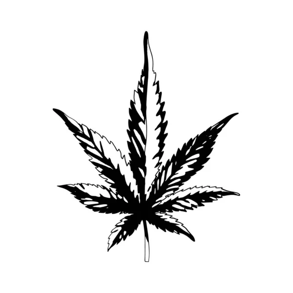 Uma folha de cannabis isolada num fundo branco. Folha de maconha preta e branca. Ganja é um símbolo de Rastafaria.Vetor — Vetor de Stock