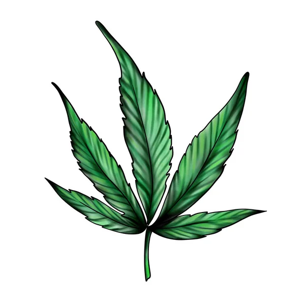Cannabisblatt isoliert auf weißem Hintergrund. Grünes Marihuana. Ganga, Hanf — Stockfoto