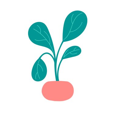 Ev yapımı şirin bir bitki. Yeşil yapraklı ev çiçeği pembe bir tencerede. Düz biçimli vektör illüstrasyonu.