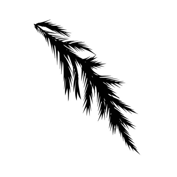 Spruce galho silhueta preta vetor estoque ilustração — Vetor de Stock