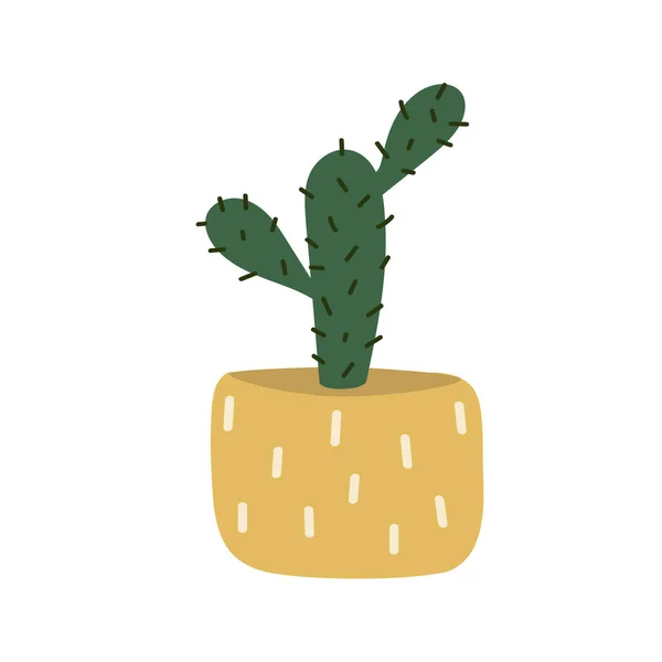 Le cactus pousse en pot. Plante d'intérieur décorative aux feuilles vertes dans un pot. Prickly dessin animé cactus isolé sur un fond blanc. Jardin intérieur. Illustration vectorielle plate — Image vectorielle