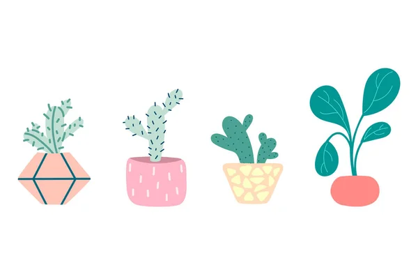 Un ensemble de plantes domestiques en pot. Cactus, succulents — Image vectorielle