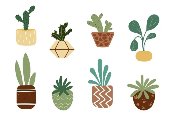Fleurs faites maison en pots. Succulents, cactus, Echeveria — Image vectorielle