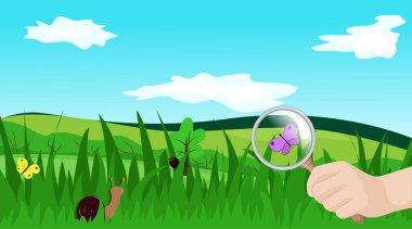 Farklı böcekler çim. El ile bir büyüteç üzerinden bir kelebek. Vektör çizim