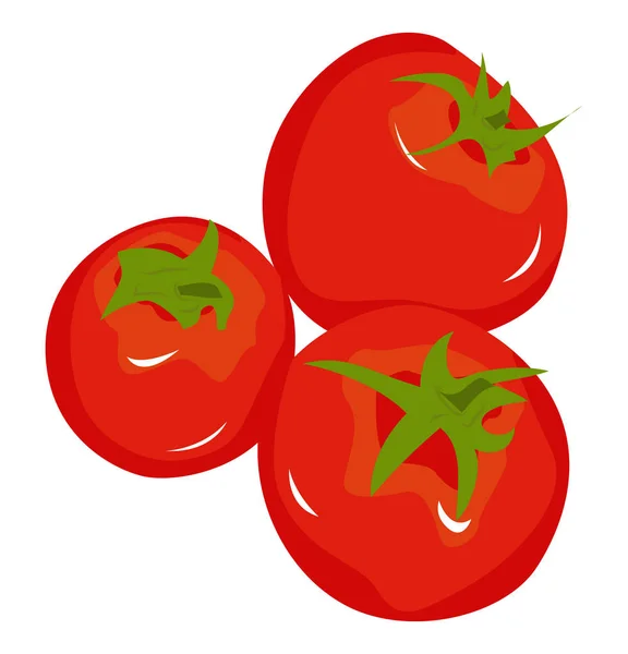 Three Ripe Red Tomatoes Simple Vector Illustration — Stock Vector