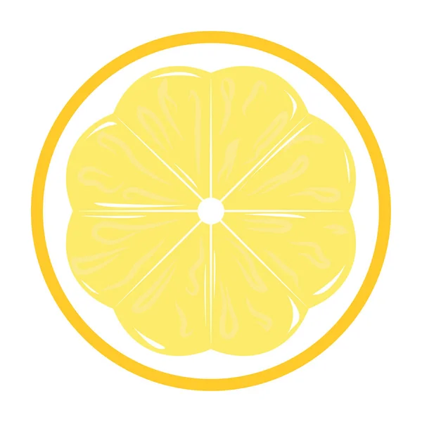 Slice Juicy Lemon Vector Illustration — Stock Vector