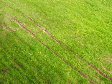 Arabanın tekerlekleri parçadan dandelions ile yeşil çayır haçlar. Üstten Görünüm