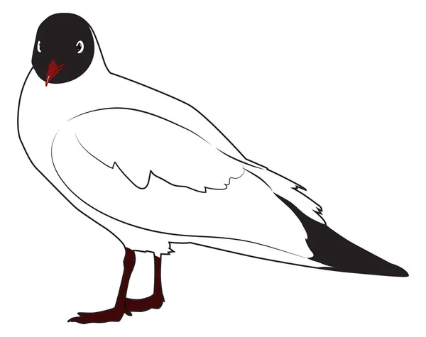 Zwarte headed gull — Stockvector