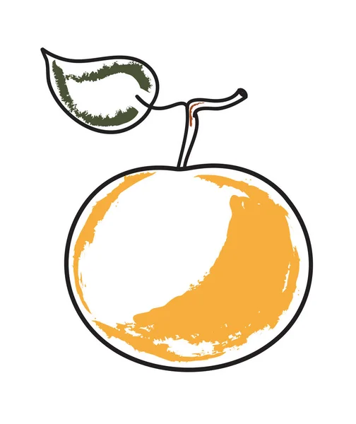 Mandarin with a leaf — Stock Vector