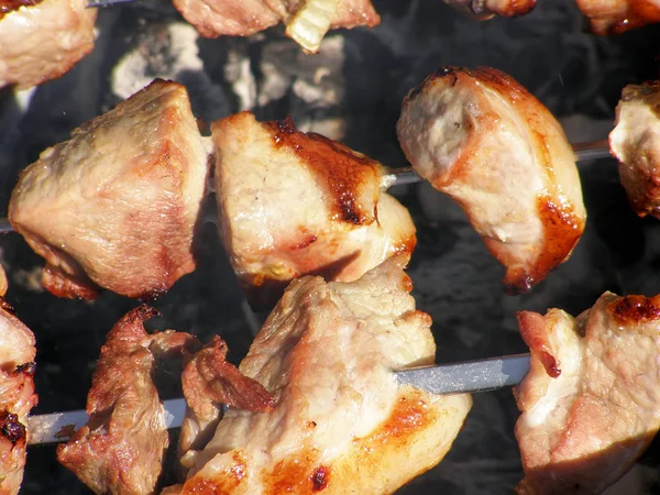 Pezzi di maiale alla griglia su spiedini — Foto Stock