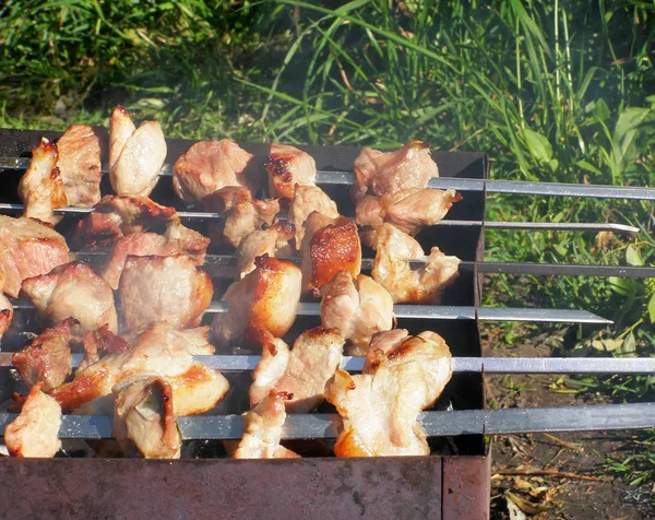 Кусочки жареной свинины на шампуре — стоковое фото