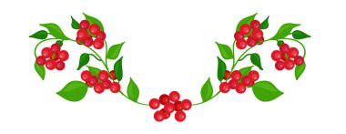 bir dal üzerinde lingonberry