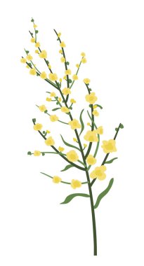 Soyut sarı çiçekler, vektör illüstrasyonu